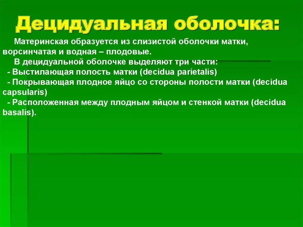 Децидуальная оболочка. Дескудиальная оболочка. Децидуальная оболочка образуется. Децидуальная оболочка формируется из.