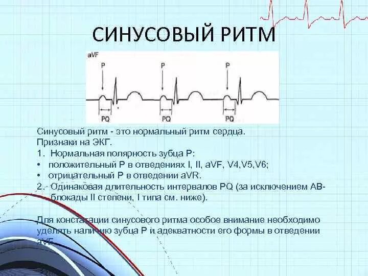 Ритм сердца норма экг