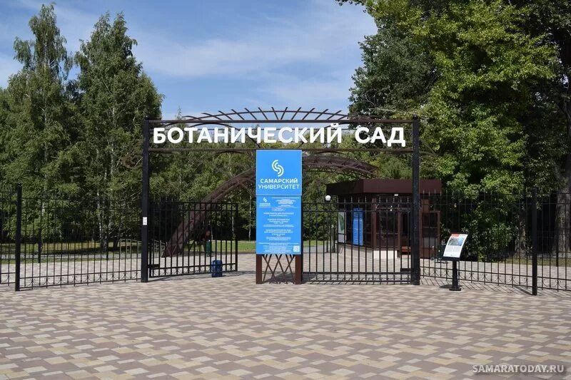 Самарский ботанический сад. Ботанический сад самара мост. Ботанический сад самара. Ботанический сад самара растения. Ботанический сад самара.
