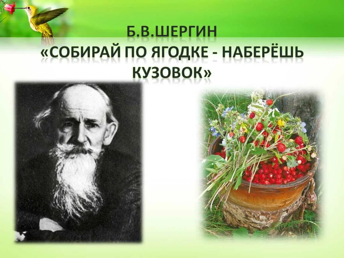 Краткий рассказ собирай по ягодке наберешь кузовок. Соберешь по ягодке наберешь кузовок. Собирает по ягодке наберешь кузовок Шергин. Шергин собирай по ягодке.