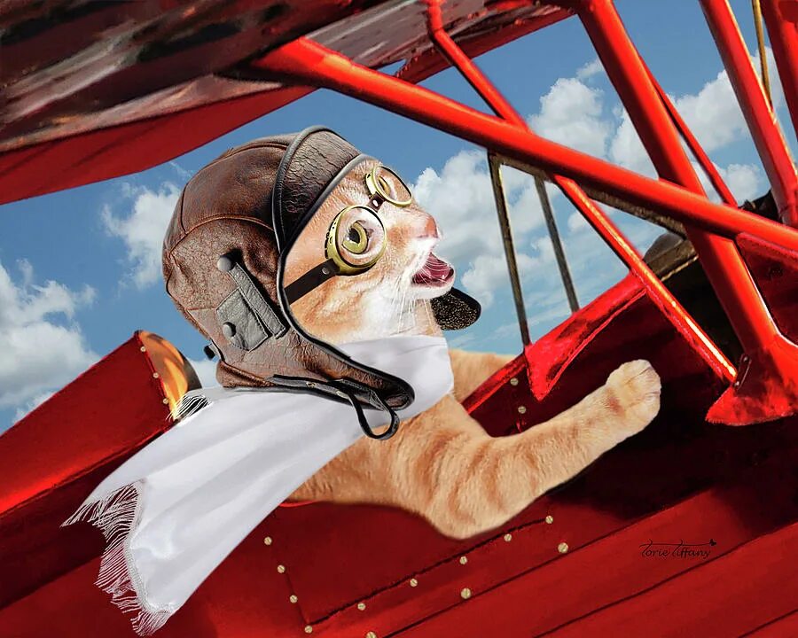 Коты пилоты. Коты авиаторы. Котик пилот самолета. Котик летчик. Котик пилот.