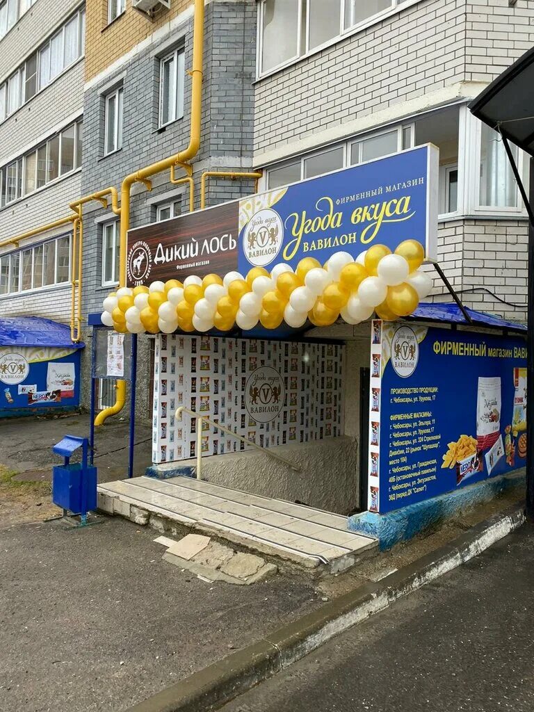 дикий лось чебоксары адреса. дикий лось магазин чебоксары максима горького. дикий лось чебоксары адреса. дикий лось чебоксары адреса. дикий лось магазин чебоксары.