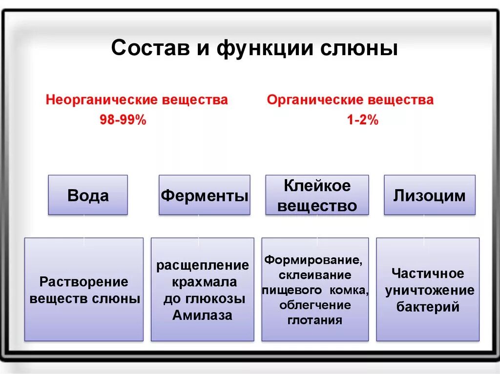 Особенности слюны. Состав слюны и ее функции. Состав слюны и функции ее компонентов. Основные ферменты слюны и их функции. В состав слюны входят ферменты.