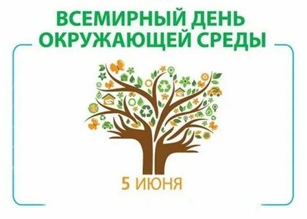 Как вы помогаете окружающей среде