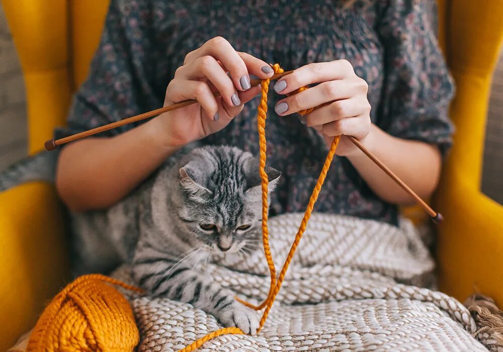Связываем теплом. Уютное вязание. Женщина с котом и вязанием. Вязание уют. Вязальщица кот.