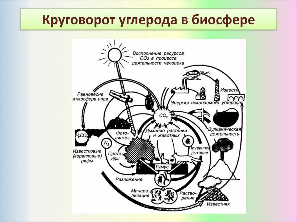 Фотосинтез растений круговорот веществ в биосфере. 2 Типа круговоротов веществ в биосфере. Круговорот углерода схема биология. Круговорот азотаeukthjlf d ghbhjlt. Круговорот веществ в биосфере схема