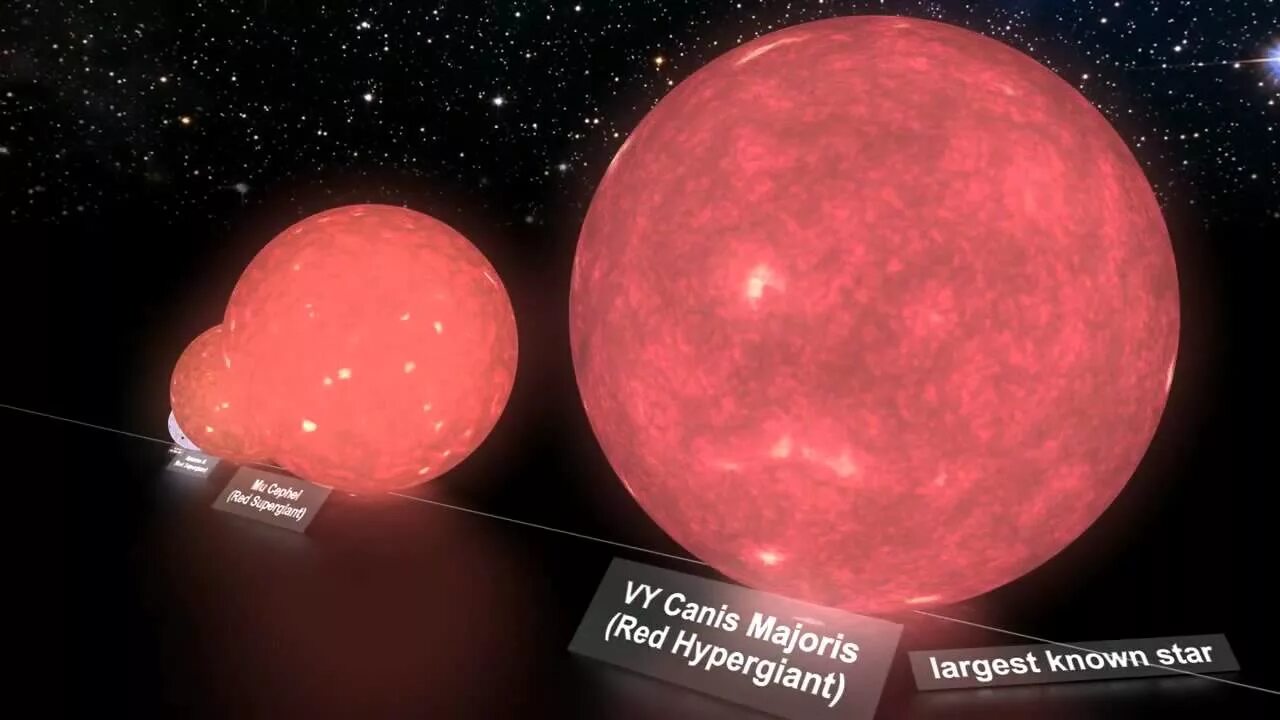Звезды спектрального класса f. Самая большая звезда uy щита. Размер звезды в космосе. Звезды арктур бетельгейзе сириус. R136a1 и бетельгейзе.