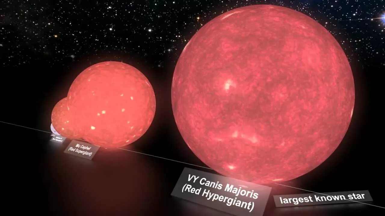 Малые звезды большого предательства. Vy canis Majoris звезда. Uy щита и Бетельгейзе. Vy щита и vy большого пса. VV Цефея звезда.