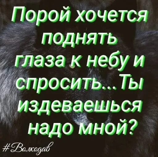 Хочешь поднимаемый беспокоятся замесишь рубящий
