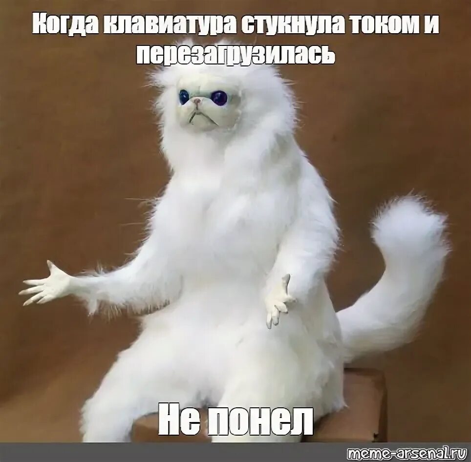 Мем с разведенными руками. Мем с разведенными руками
