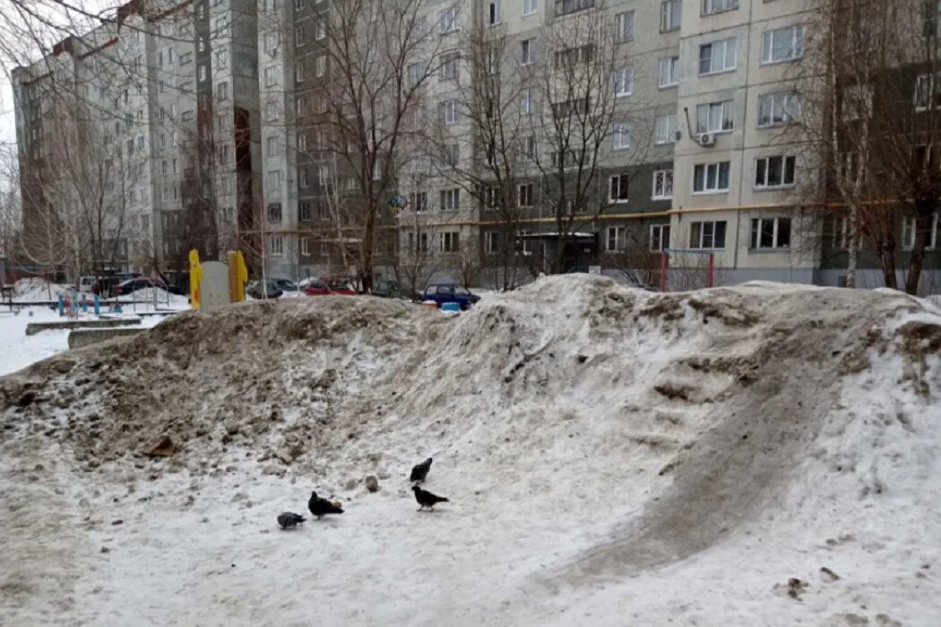 Грязный сугроб. Грязный снег. Грязный снег во дворе. Загрязнение снега.