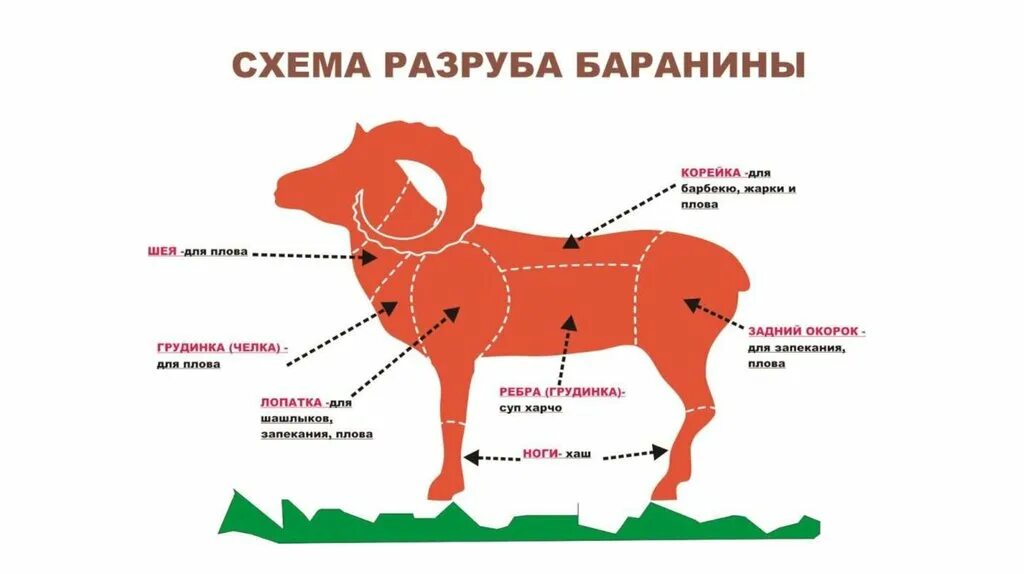 Часть баранины для плова. Классическая схема разруба бараньей туши. Схема разруба бараньей туши. Схема разделки мяса баранины. Схема разруба туши баранины.