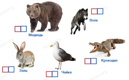 Животные увеличиваются в размерах