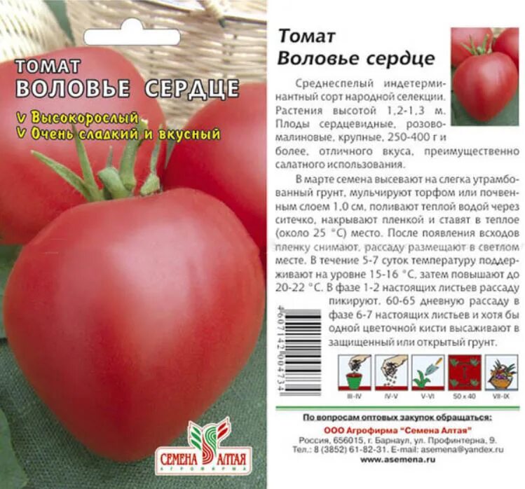 Томаты воловье сердце отзывы фото урожайность