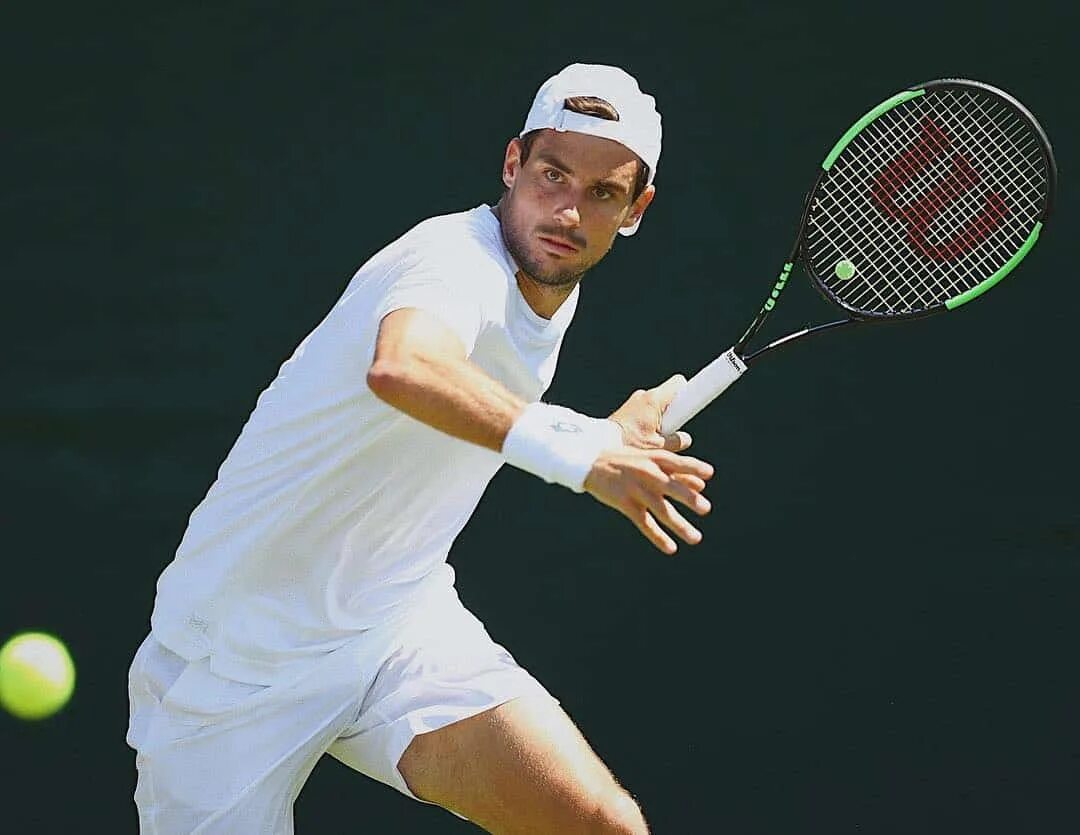 Большой теннис вк. Гвидо Пелья теннис. Tsonga Wimbledon 2016. Гида Пелла теннис. Tsonga Wimbledon 2019.