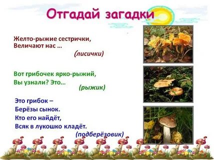 3 загадки про грибы