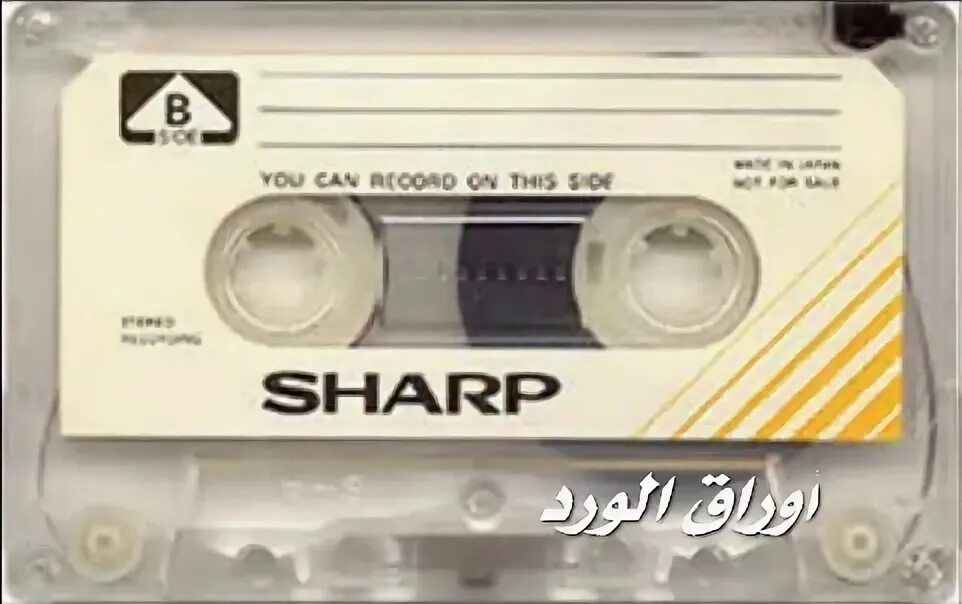 Кассета sharp. Аудиокассета sharp c-90sx. sharp compact cassette. вкладыш аудиокассеты шарп. вкладыши для кассет sharp.