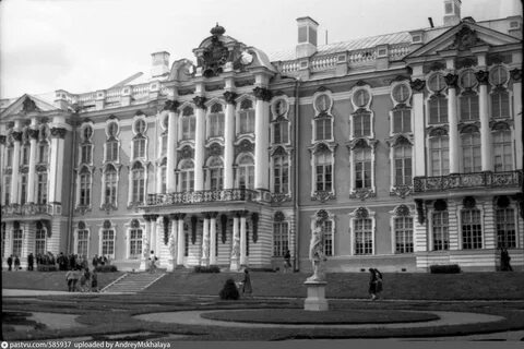 Эрмитаж черный