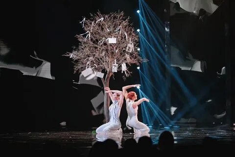 Дуэты 29 декабря