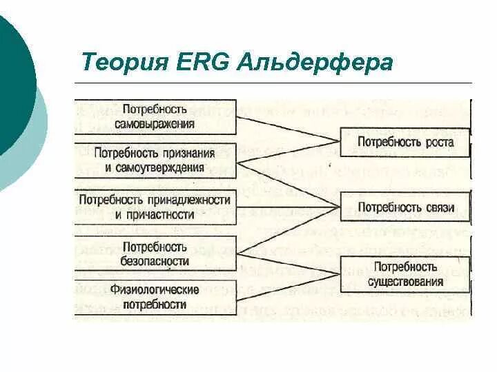 Теория мотивации альдерфера относится к. Теория erg клейтона альдерфера. Теория мотивации альдерфера относится к. Теория erg альдерфера. Теория потребностей альдерфера.