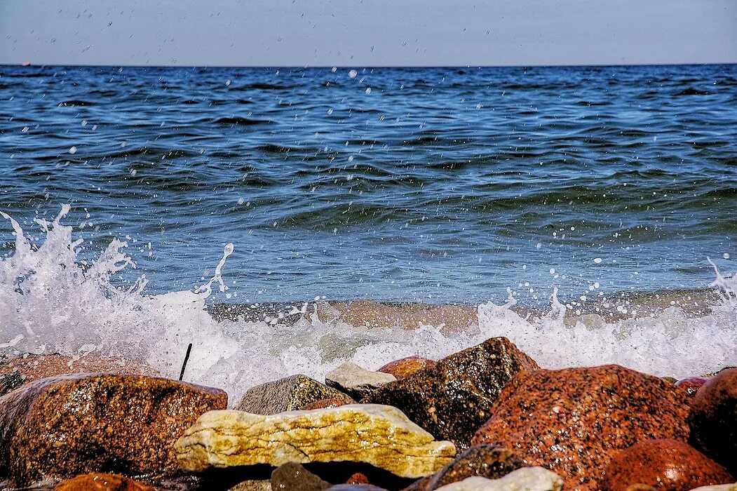 Богатство балтийского моря. Балтийское море. Балтийск море. Янтарь на берегу моря. День Балтийского моря.