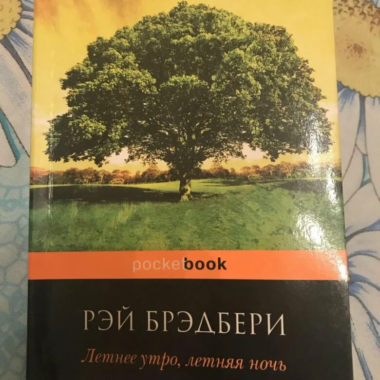 Брэдбери краткое содержание рассказов. Зелёное утро Брэдбери читать.