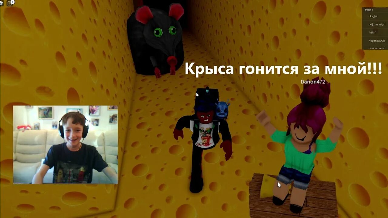 Какой код в крысе в роблокс. Побег от крысы РОБЛОКС. Крыса Roblox. Карта крысы в РОБЛОКСЕ. Убегаю от крысы в РОБЛОКС.