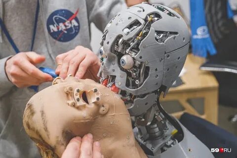 Человека подобный работы