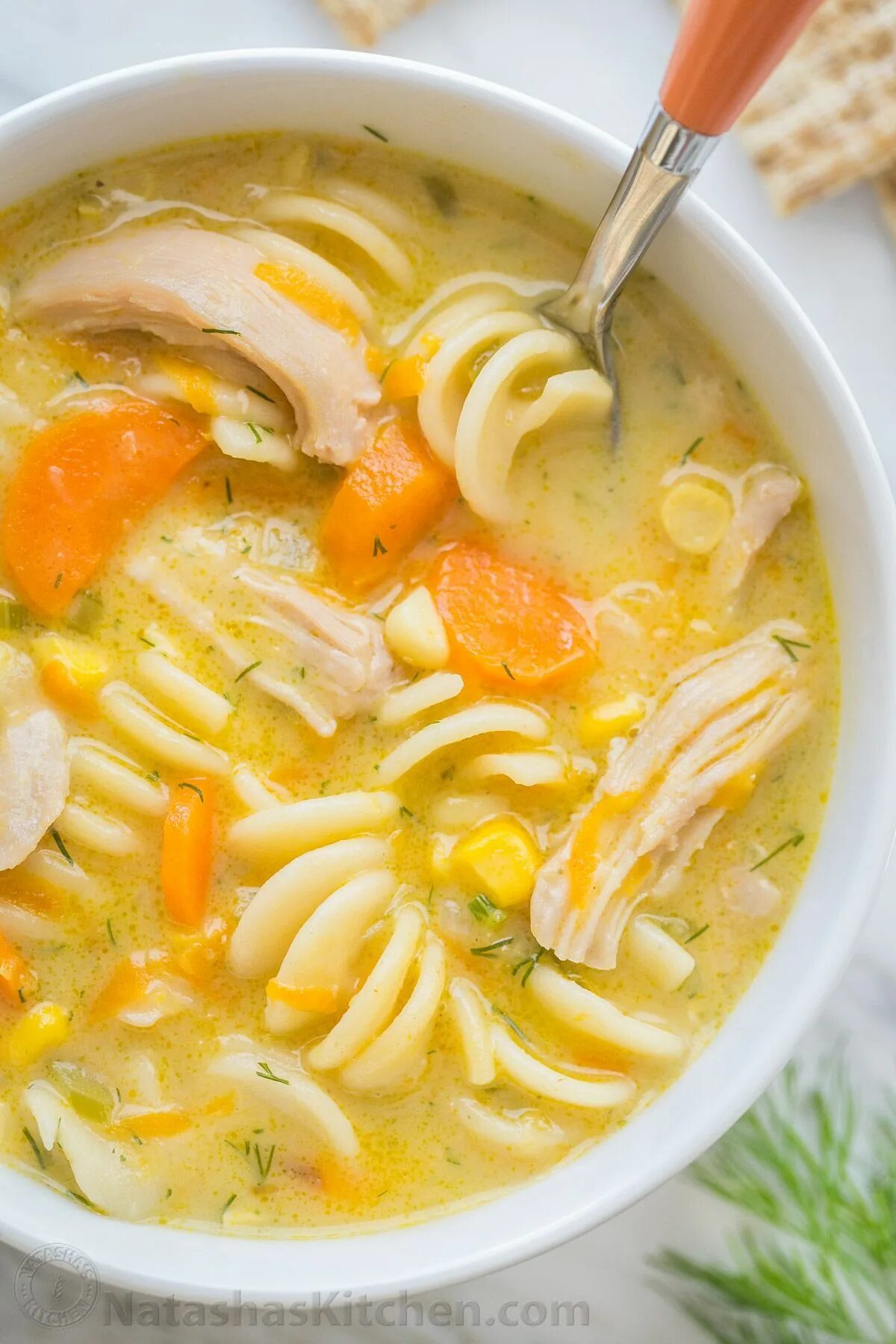 Лапшичный суп. Куриная лапша. Куриный суп с лапшой. Суп лапша домашняя. Простой суп с лапшой