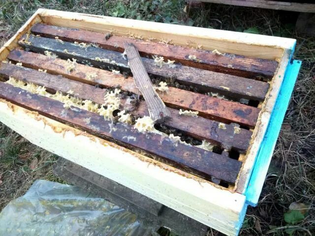 6ти рамочный улей бененхаус. Ульи дадан из фанеры. 6 улей. 6 улей. Рогатые ульи.