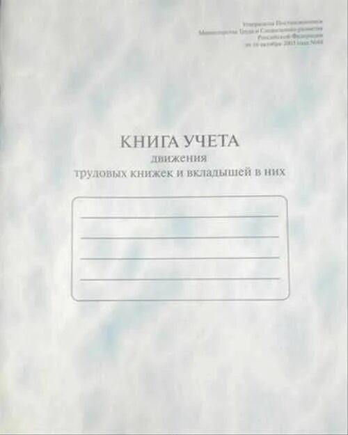 Книга учета личного состава работников. Книга учета движения трудовых книжек. книга учета движения трудовых книжек и вкладышей. книга учёта трудовых книжек и вкладышей. книга учета движения трудовых книжек и вкладышей к ним.