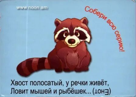 Полосатый пушистый добрый
