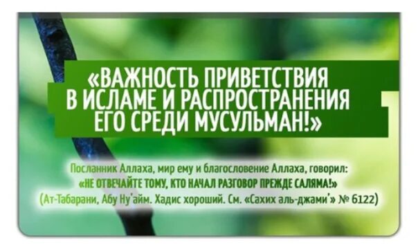 Приветствие в Исламе. Здороваться в Исламе. Важность приветствия в Исламе. Хадис про Приветствие.