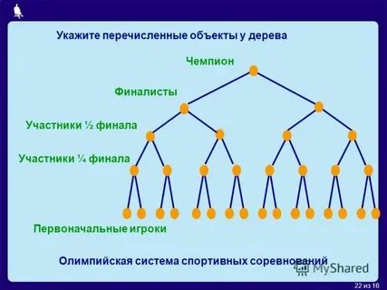Каждая вершина дерева имеет более одного предка