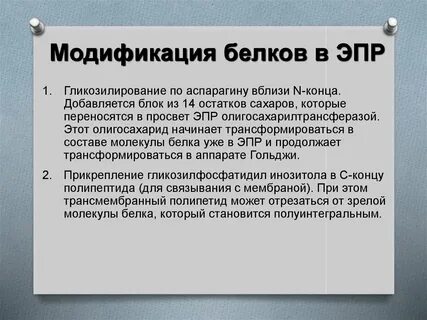 Отвечает за модификацию белков
