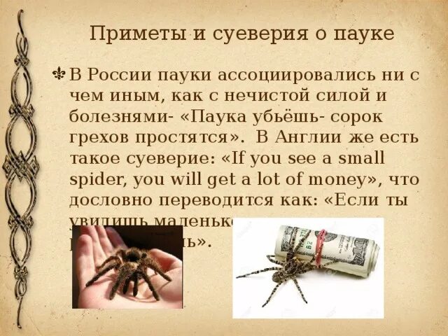 Увидеть паука на полу примета. Народные приметы и суеверия. Паучок примета. Приметы про пауков. Приметы если паук.