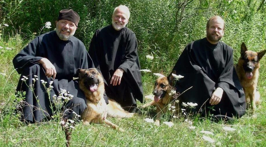 Священники и животные. Дохиар монастырь игумен григорий собаками. Петр дынников приют. Петр дынников приют. Как церковь относится к животным.