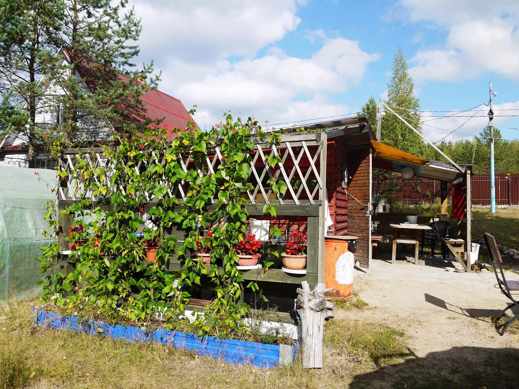 Снт семиозерье 2. Поселок семиозерье ленинградская область. Посёлок семиозерье ленинградской. Поселок семиозерье выборгского района. Поселок семиозерье ленинградская область.