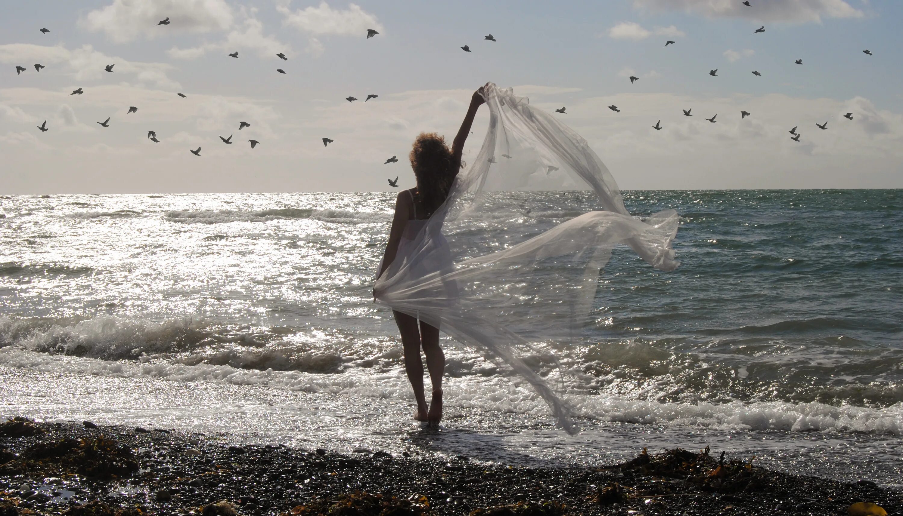 Словно ветер вода песня. Море птицы девушка. Девушка-море. Ветер на море. Девушка на ветру.