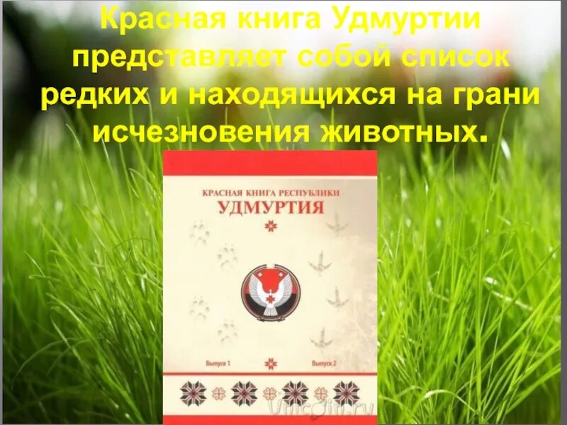 Красная книга удмуртии животные