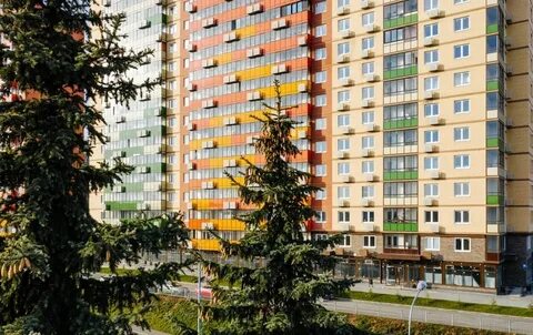 Мирный свободы 3