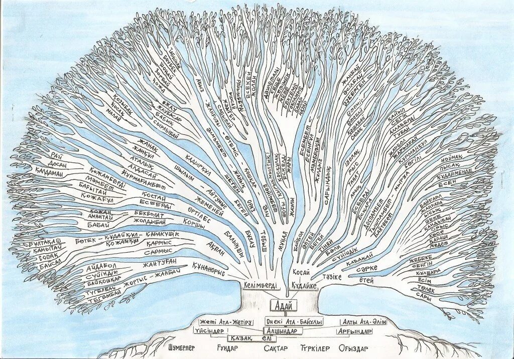 Род ка 2. Шежире казахов. Руулар шежире. Шежире казахов младший жуз. Древо рода Байбакты.