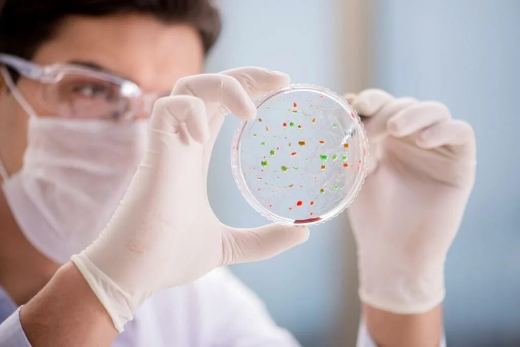 Вирус орз. Внутрибольничная инфекция. Всемирный день иммунитета. Вирусы и бактерии для детей. Инфекционные болезни.