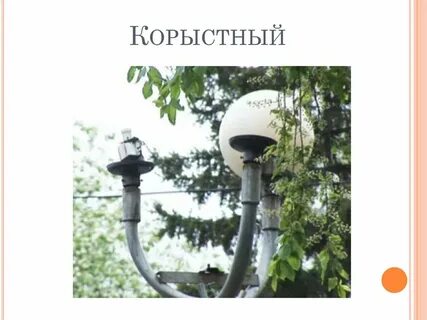 Корыстный это