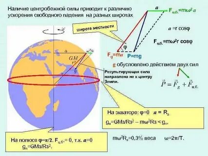 На экваторе вес меньше чем полюсе