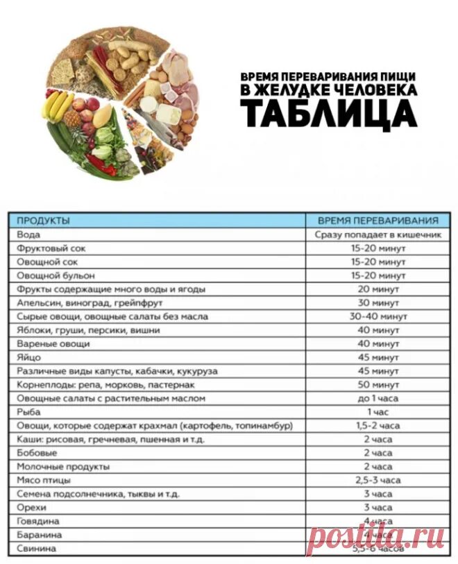 Сколько переваривается пища у человека. Какие продукты сколько перевариваются. Продукты которые быстро усваиваются. Долго перевариваемая еда. Сколько переваривается мороженое