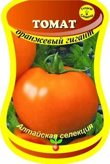 Оранжевый гигант отзывы