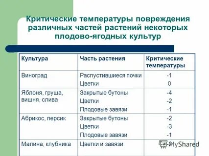 Температура травма