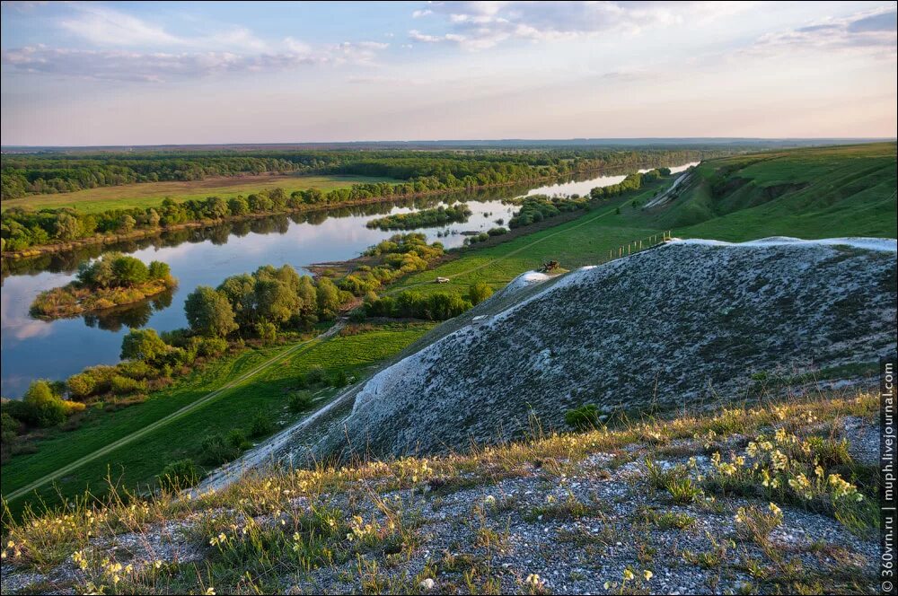 Село петропавловское воронежской области. Селявное Воронежская область. Селявное 2 Воронежская область. Село Селявное Лискинского района. Воронеж Селявное.