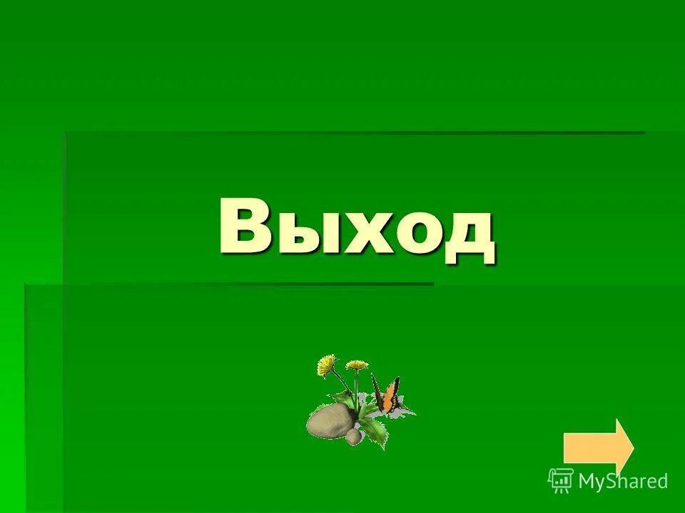 Тест по теме люби все живое 3